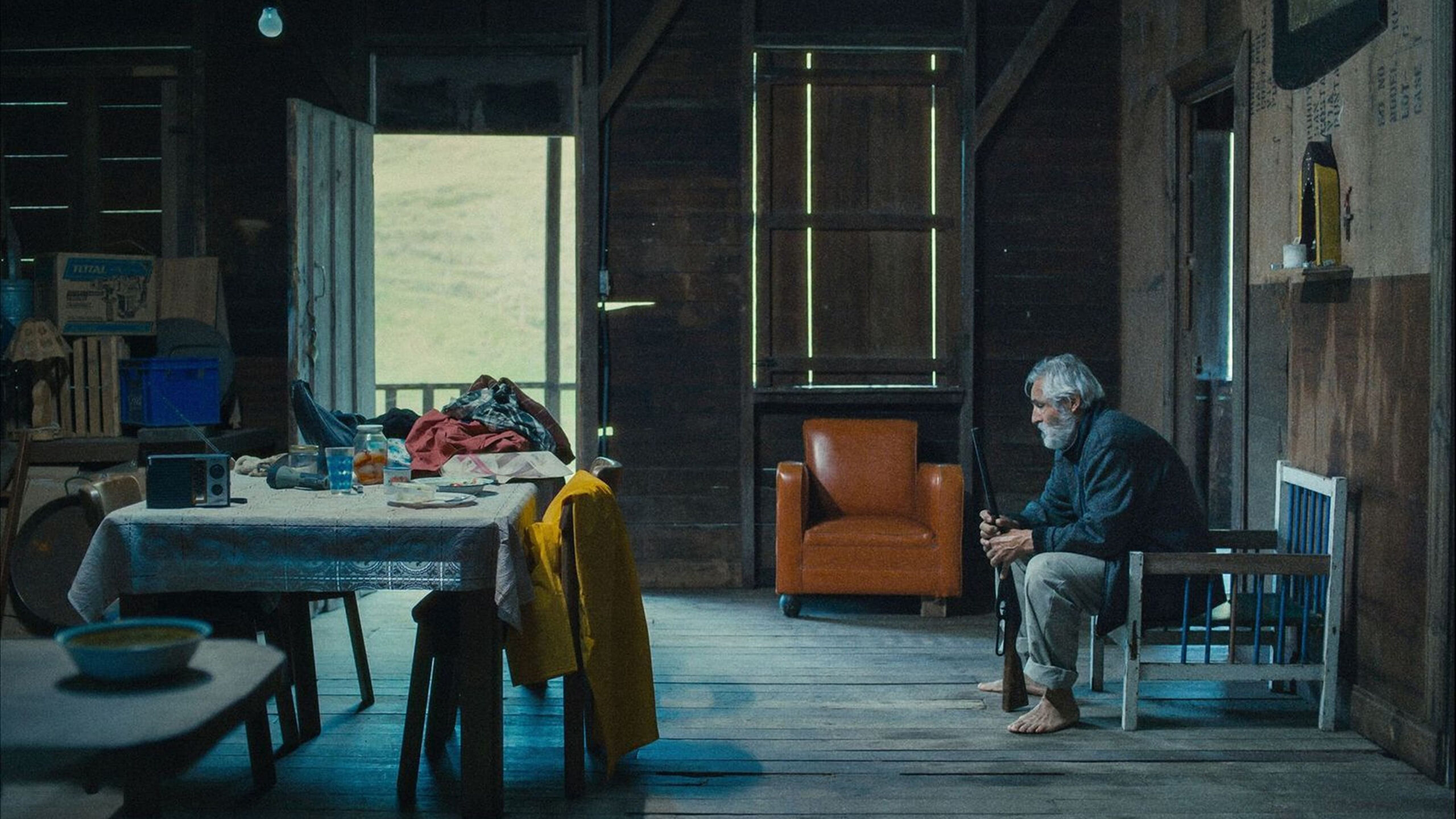 Domingo e a Neblina | 2022