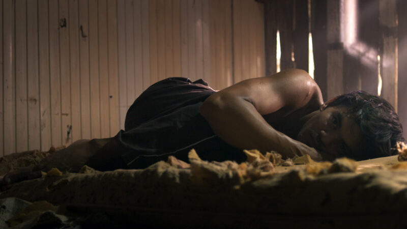 Noites Alienígenas | 2022