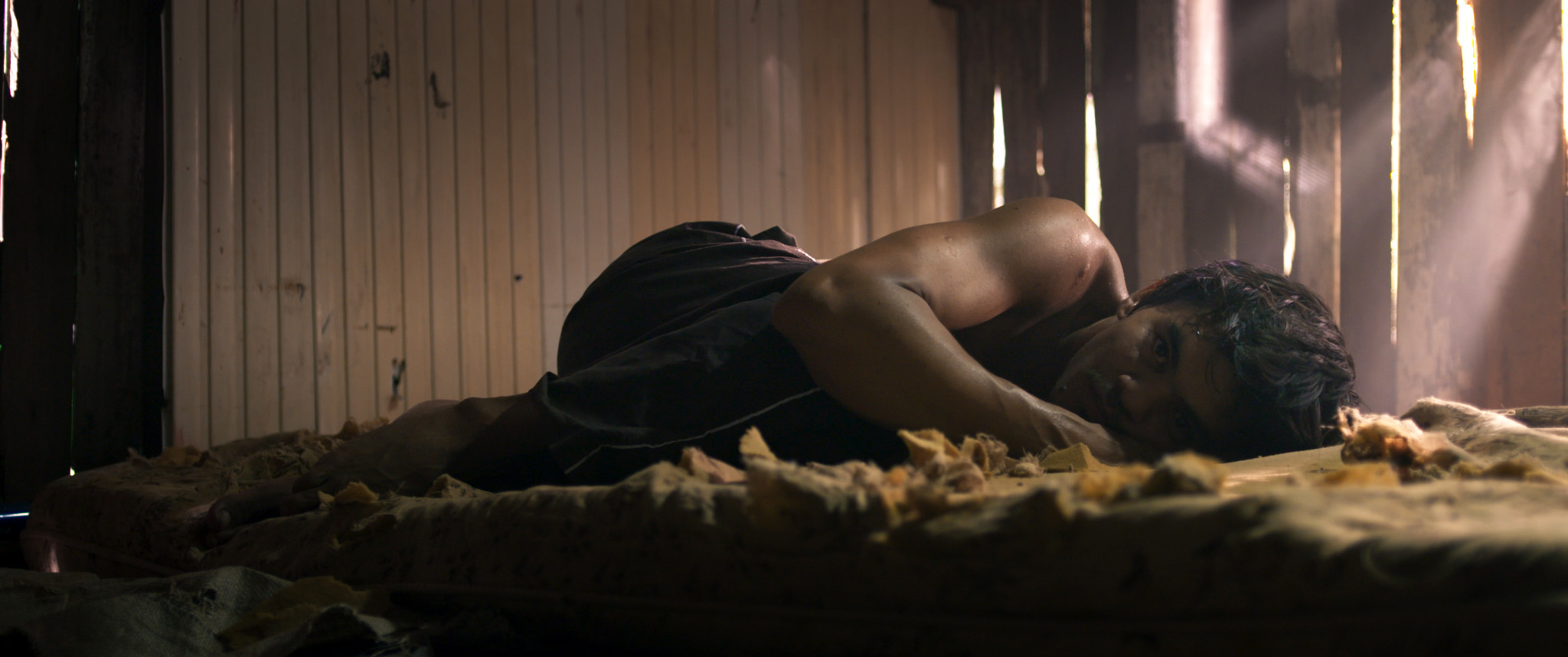 Noites Alienígenas | 2022