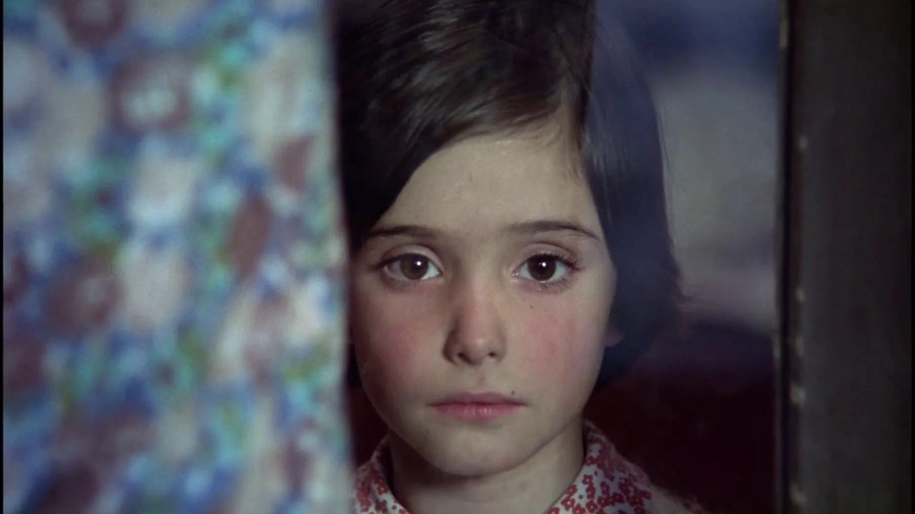 Cría Cuervos | 1976