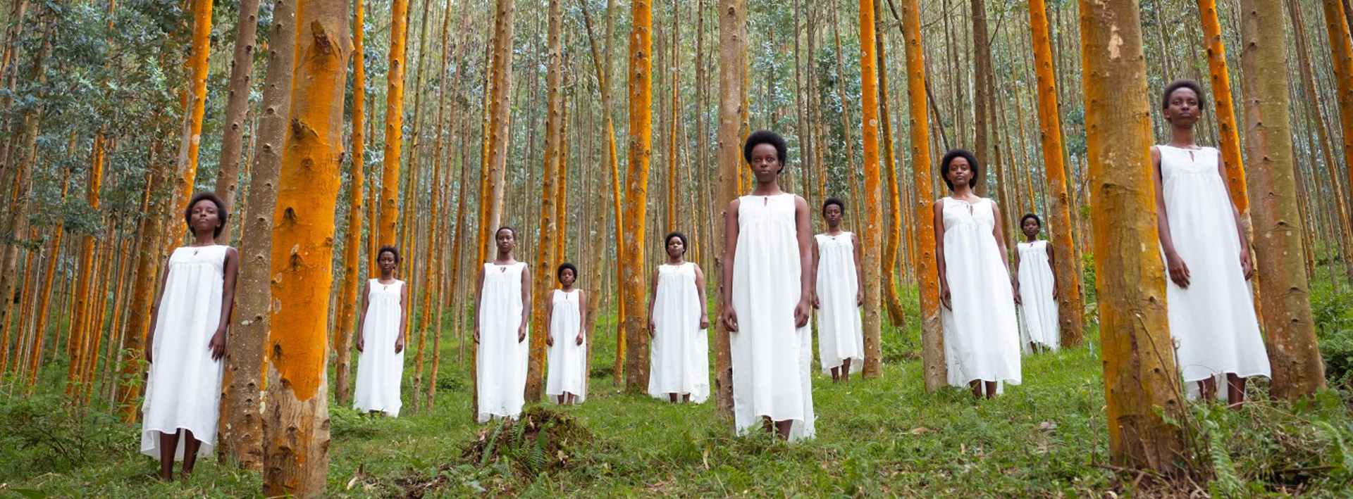 Nossa Senhora do Nilo | 2019