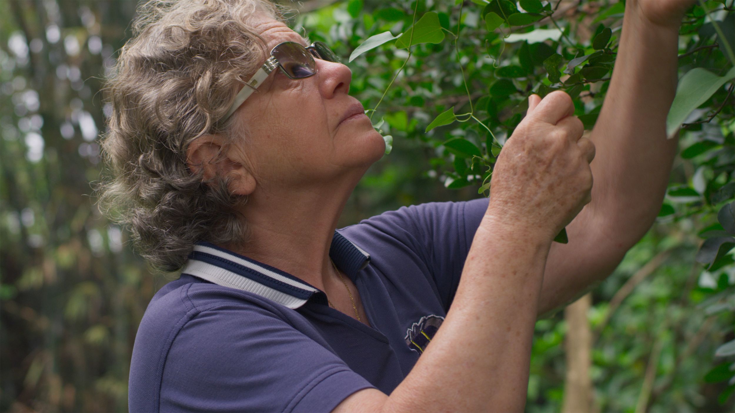 Guapo’Y | 2023 | 17º Cine BH