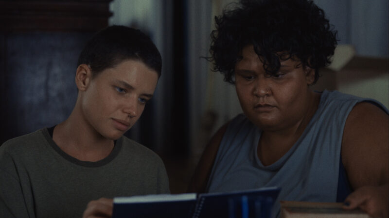 Cidade; Campo | 2024