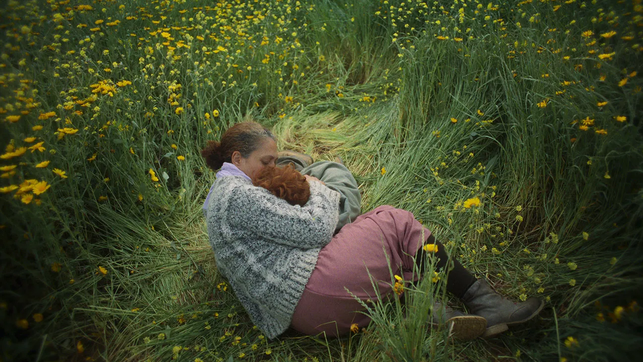 Who Do I Belong To | 2024