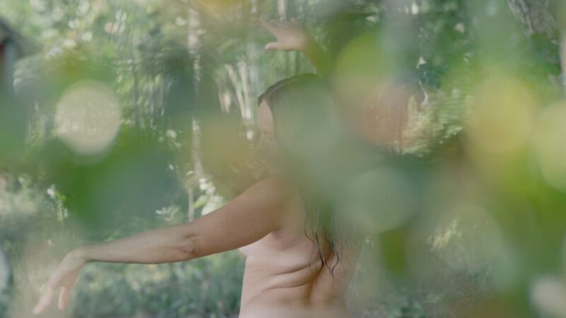 The Labour of Pain and Joy | 2024