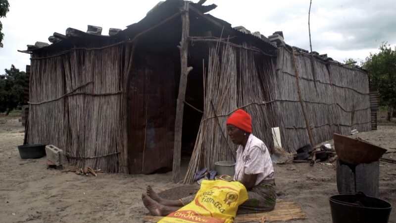 As Noites Ainda Cheiram à Pólvora | 2024