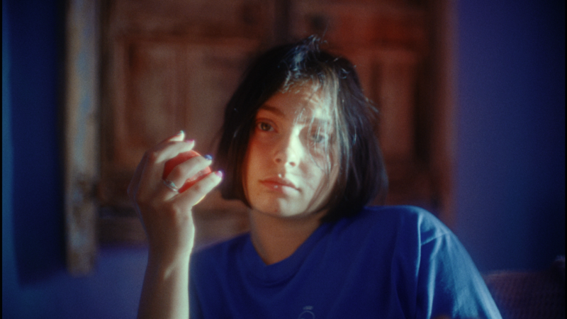 Curtas-Metragens do Festival de Tribeca 2024