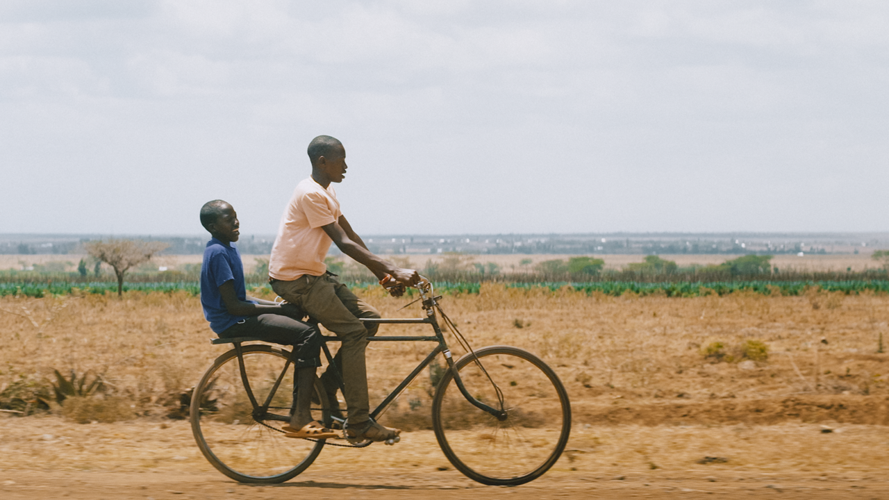 Searching for Amani | 2024