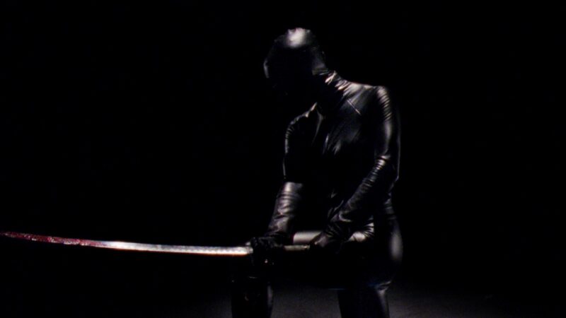 Reflection in a Dead Diamond | 2025