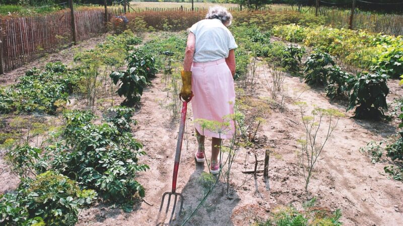 Agatha’s Almanac | 2025