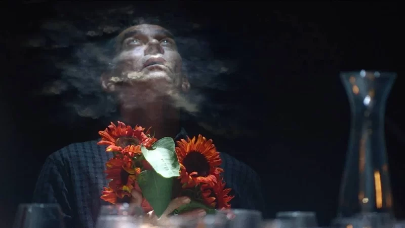 Girassol Vermelho | 2024