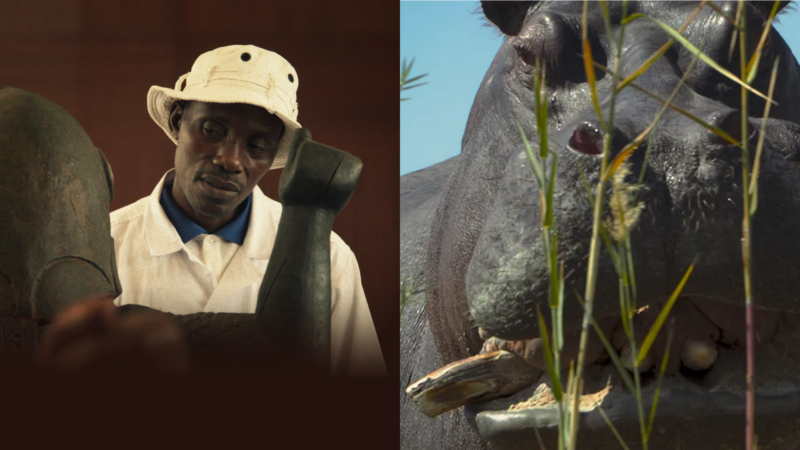 Pepe e Daomé | 2024