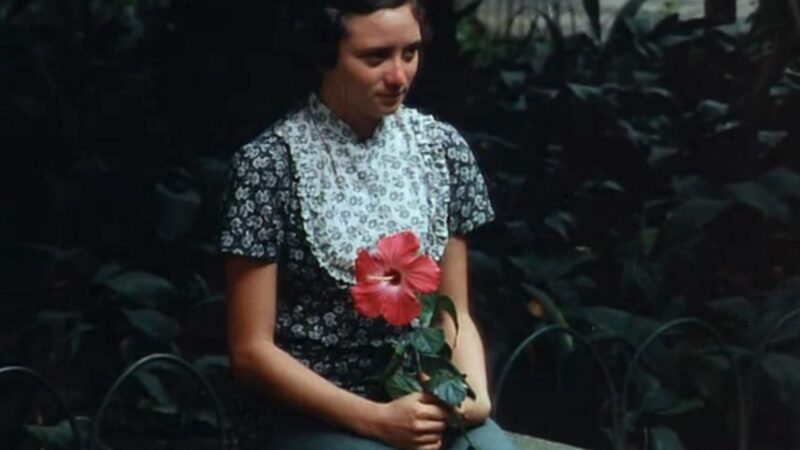 Melhores Filmes Dirigidos por Diretoras Brasileiras