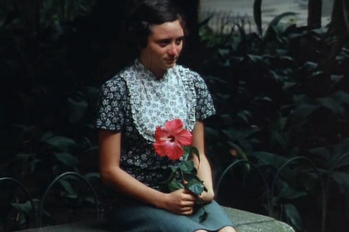 Melhores Filmes Dirigidos por Diretoras Brasileiras