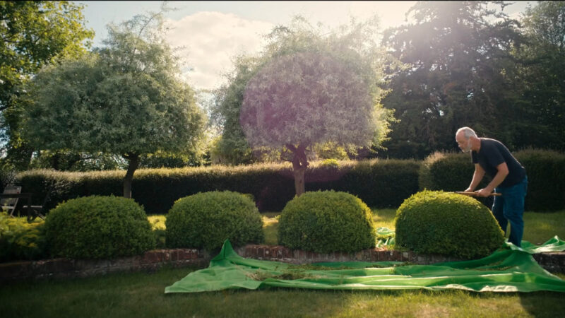 O Jardineiro, o Budista e o Espião | 2025