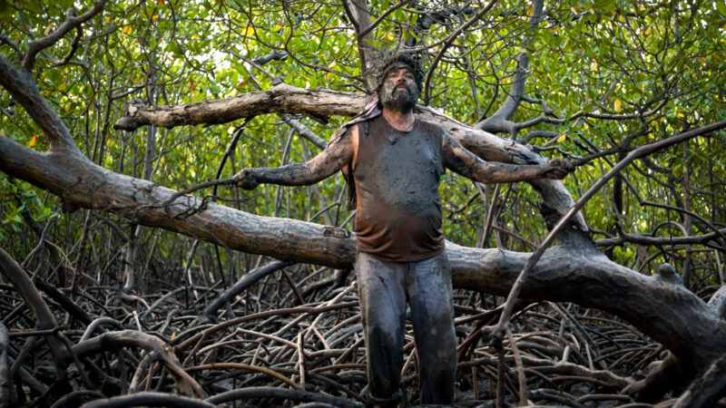 Filhos do Mangue | 2024