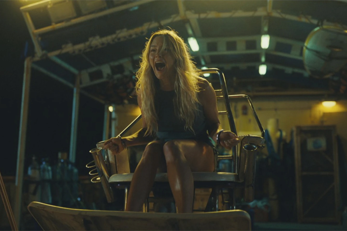 Animais Perigosos | 2025