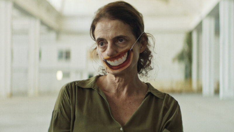 Sonhar com Leões | 2024