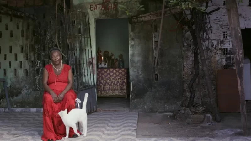 Aqui Não Entra Luz | 2025