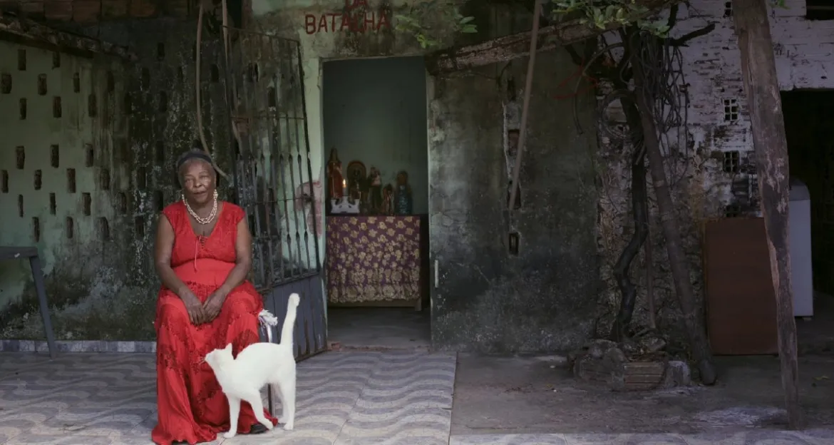 Aqui Não Entra Luz | 2025