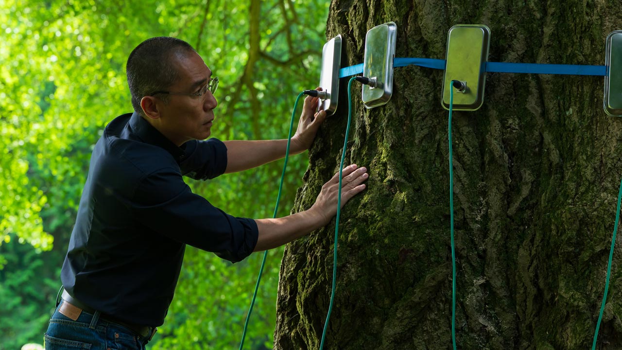 Amiga Silenciosa | 2025