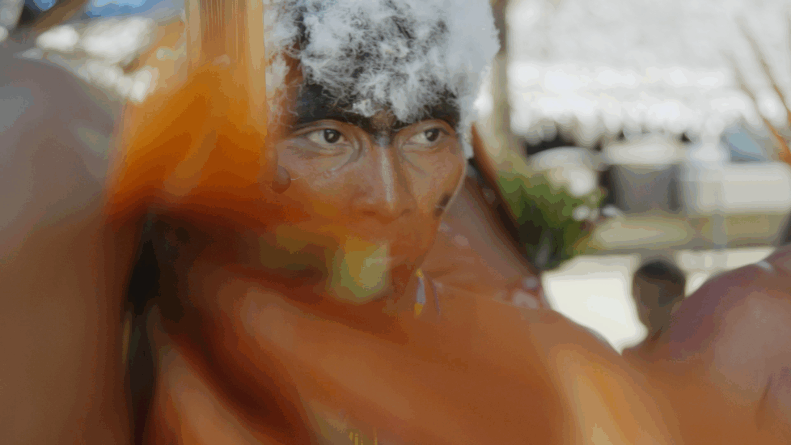 A Queda do Céu | 2025