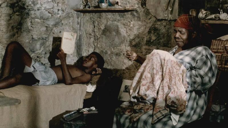 Sugar Cane Alley | 2025