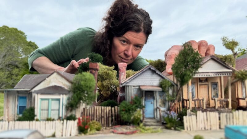 Yo (Love is a Rebellious Bird) | 2026