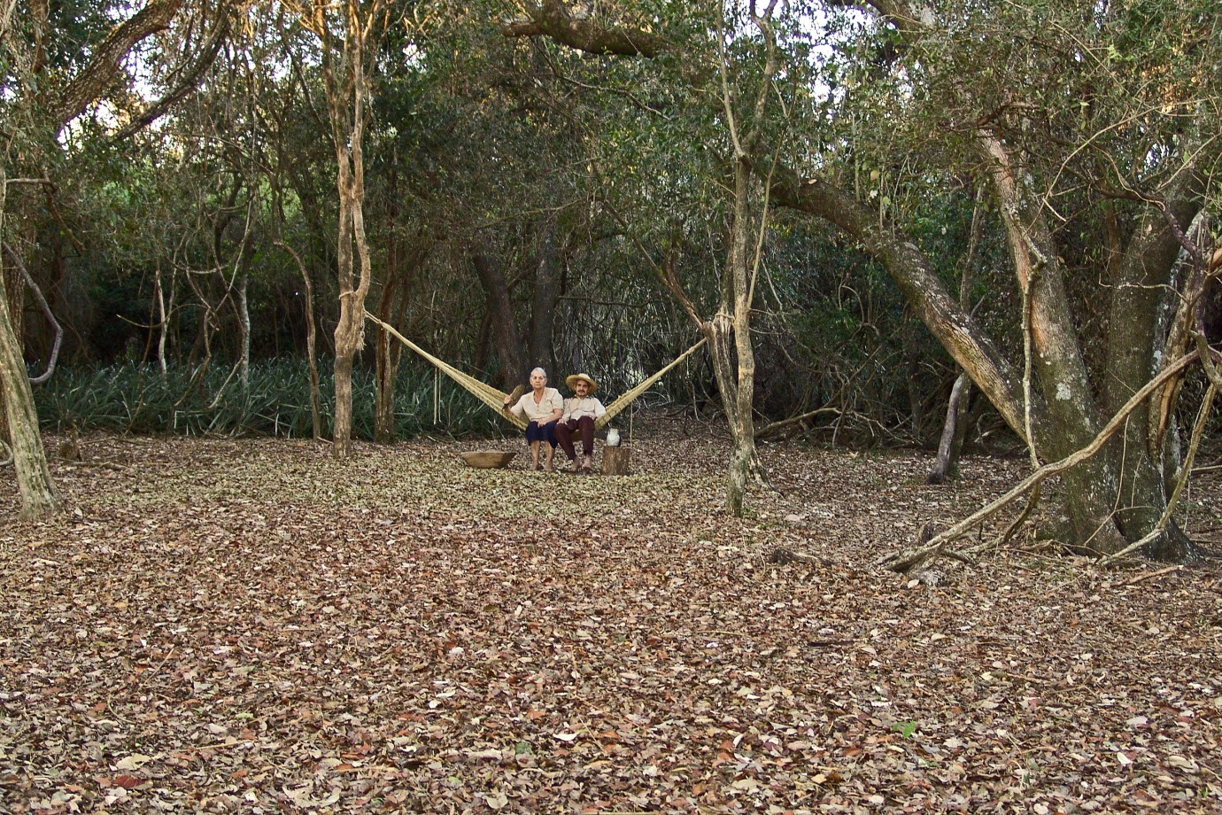 Hamaca Paraguaya | 2006